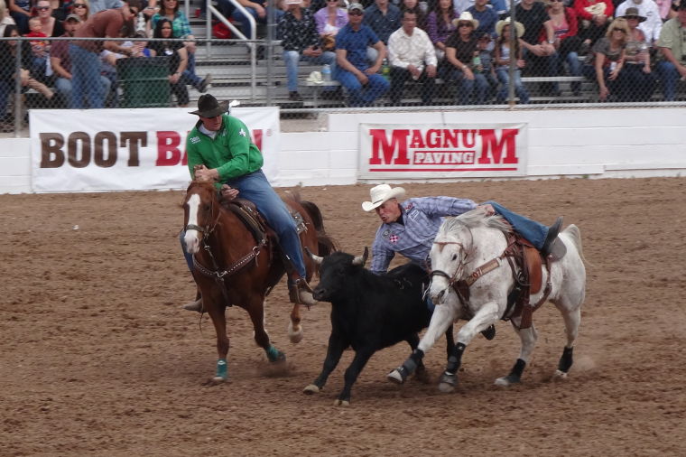 Tucson Rodeo